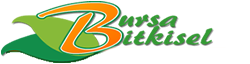  Bursa Bitkisel Destek ve üyelik bilgileri sayfası