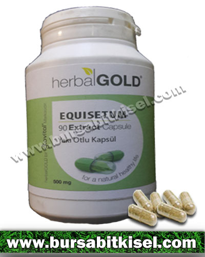 zzHerbalGold Equisetum Ekstrakt 90 Kapsül