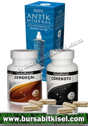 zzArtrit Zerdeçallı Bitkisel Set