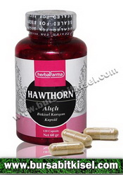HerbalFarma Hawthorn 120 Kapsülü